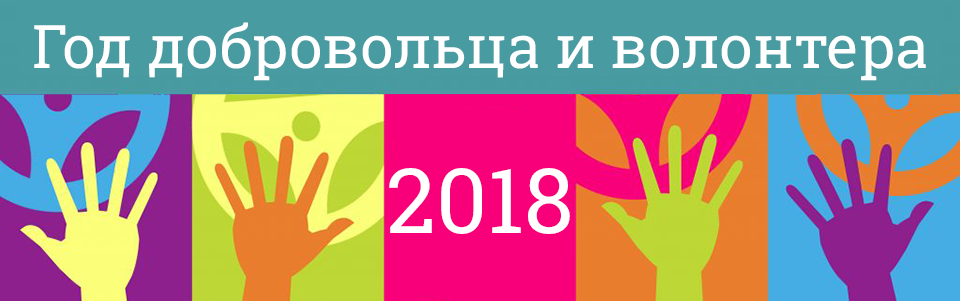logo_vol.png