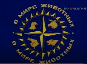 Команда лисята