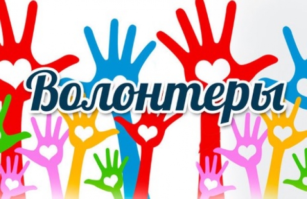 Волонтерское движение СОНКО