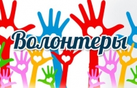 Волонтерское движение СОНКО