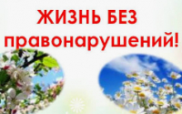 Совет по профилактике правонарушений несовершеннолетних