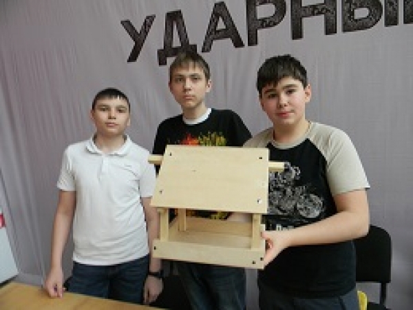 Районная акция "Мастеровые птичьих кормушек"
