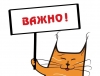 Реализация основных образовательных программ при сочетании очного обучения и семейного образования в условиях сложной эпидемиологической ситуации (смешанное обучение)