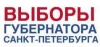 Выборы!