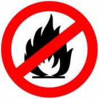 О сбережении лесных ресурсов России