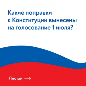#голосованиепопоправкам #конституцияспб
