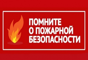 Памятка для детей и родителей о пожарах на природных территориях